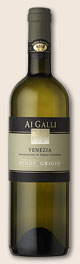 Pinot Grigio Venezia D.O.C.