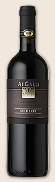 Merlot Venezia D.O.C.