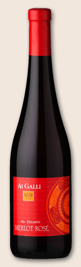 Merlot Rosé delle Venezie I.G.T Frizzante